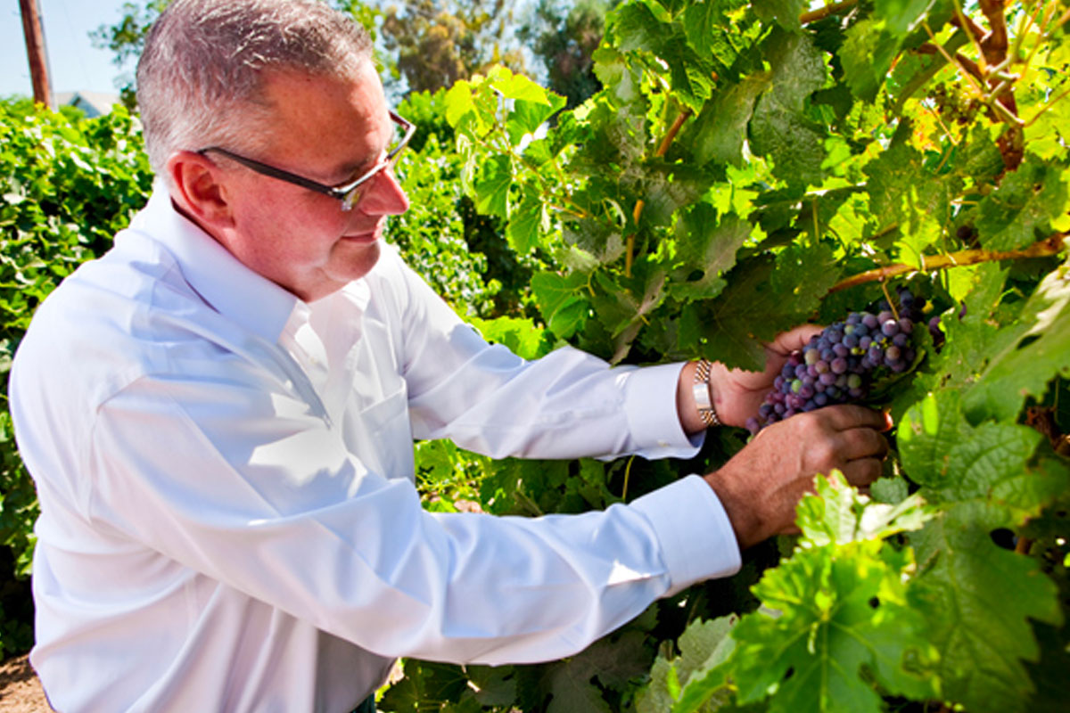 About Kimberley Wine Vinegars